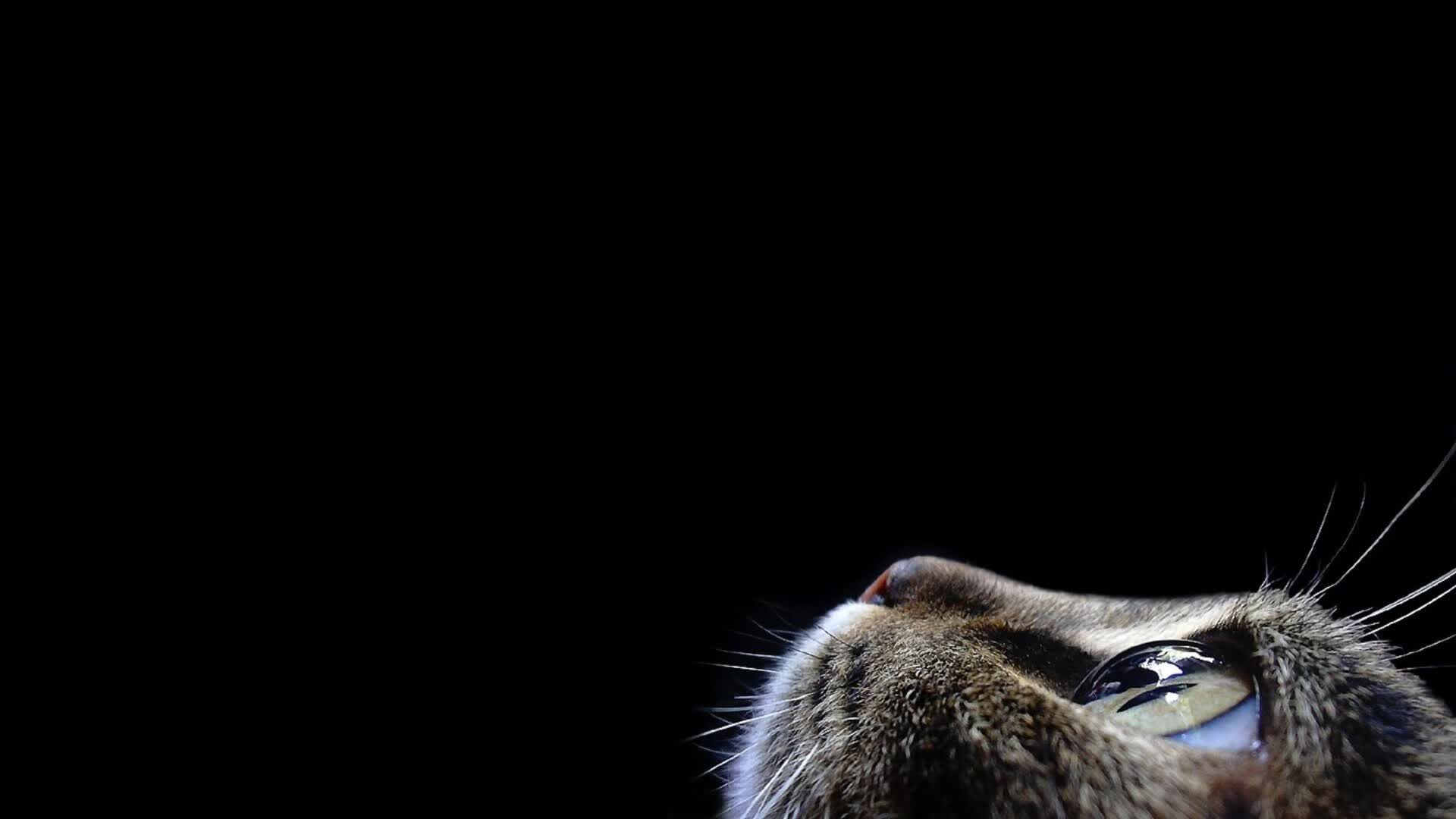 2026 全球冬季运动会筹备动态：滑雪项目的跨界新星，冬运会跳台滑雪